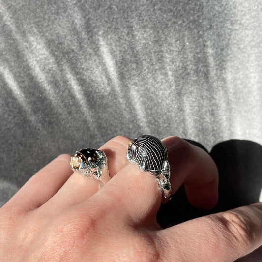 (05) the shore rings ⋆·˚ ༘ *