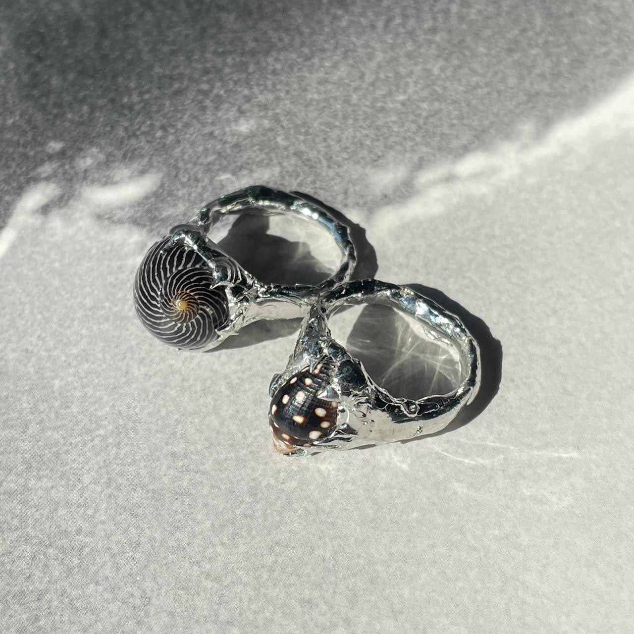 (05) the shore rings ⋆·˚ ༘ *