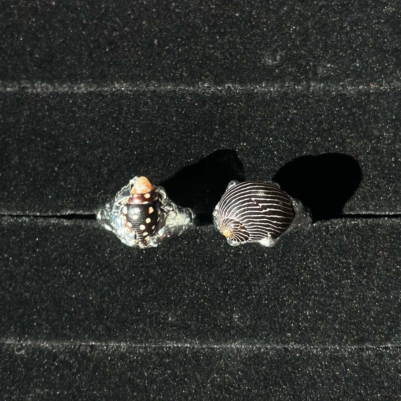 (05) the shore rings ⋆·˚ ༘ *